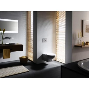 Смывная клавиша Geberit Omega 20 115.085.KJ.1