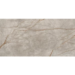 Керамогранит Atlas Concorde Эмпаир Сильвер Рут Лап 610015000603 160х80 см