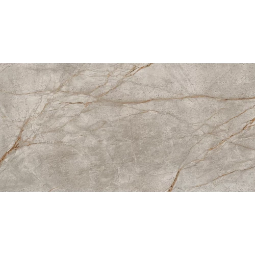 Керамогранит Atlas Concorde Эмпаир Сильвер Рут Лап 610015000603 160х80 см