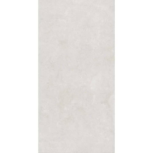 Керамогранит ProGRES Detroit матовый светло-серый PRO 0247M 120х60 см