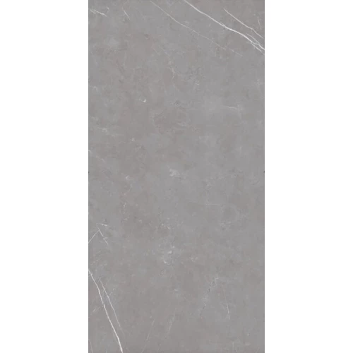 Керамогранит ProGRES Logan матовый серый PRO 0249M 120х60 см