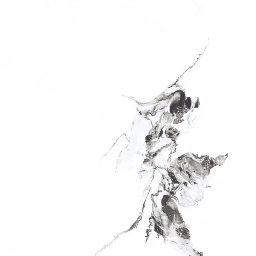 Керамогранит Primavera Videl Bianco polished PR129 60х60 см