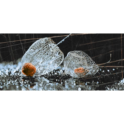 Декор InterCerama Fancy черный 50*23 см