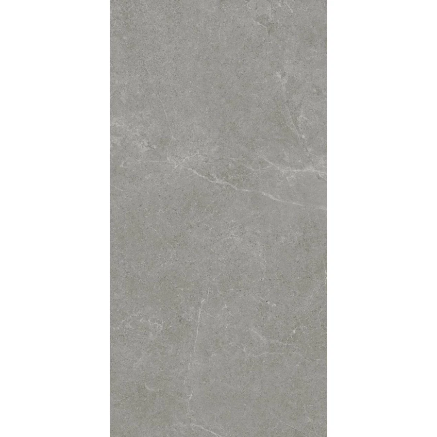 Керамогранит Realistik Ankara Semi Polished Matt серый JN12905F 120x60 см
