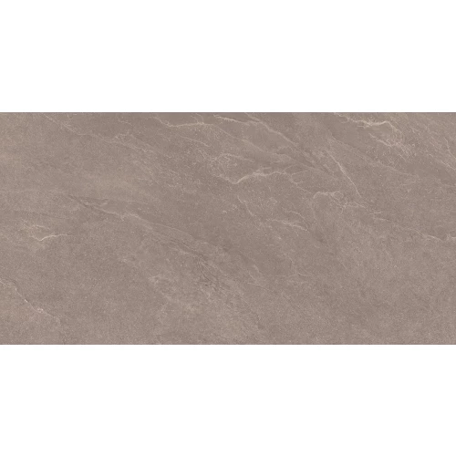 Керамогранит Ocean Ceramic India India 60х120 Carbonio Bisque матовый коричневый OC0000188 120х60 см