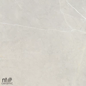 Керамогранит NT Ceramic Bright and Shiny NTT9101 Полированный BB6NTT9101P 60х60 см