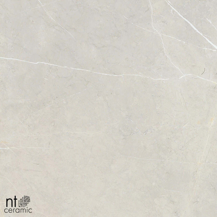 Керамогранит NT Ceramic Bright and Shiny NTT9101 Полированный BB6NTT9101P 60х60 см