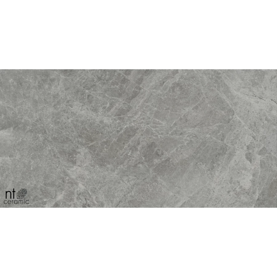 Керамогранит NT Ceramic Bright and Shiny Tundra Grey mat Матовый NTT9119M 120х60 см