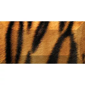 Бордюр рельефный Ceramica Classic Africa br1020D210-1 20х10 см