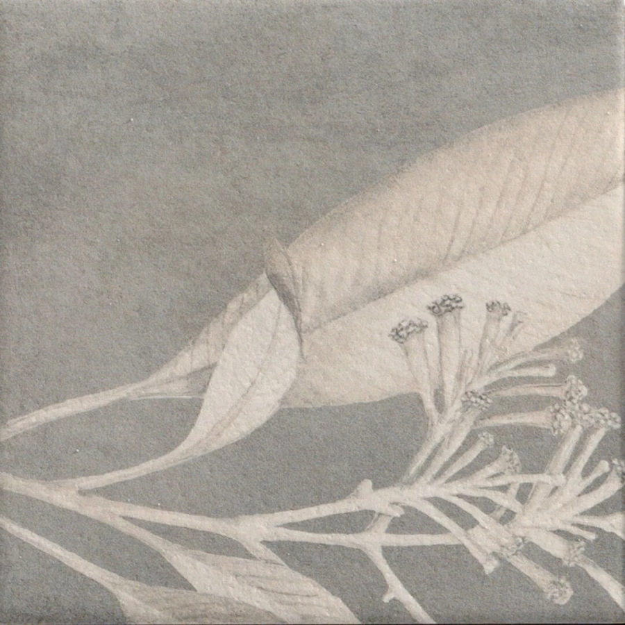 Керамогранит Mainzu Soft Kamelia Grey 15х15 см