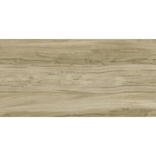 Керамогранит Kerranova Alleya структура серо-коричневый К-2103/SR 120х60 см