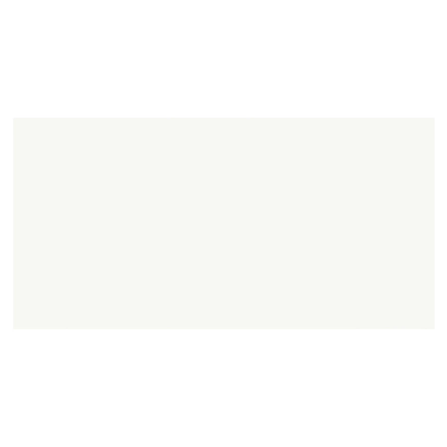 Плитка настенная AltaCera Vertus Blanco WT9VET00 50*24,9