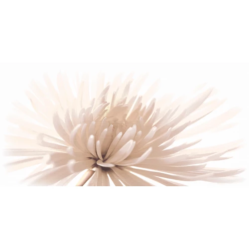 Декор Cersanit Emma C-EA2L051D 29,7x60