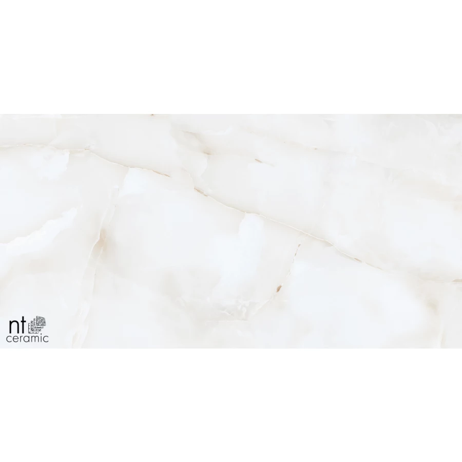 Керамогранит NT Ceramic Onyx Majestic Полированный NTT99503P 120х60 см