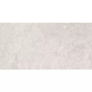 Плитка настенная Primavera Ирида светлый серый 1,8м2 TP3688A 60х30 см