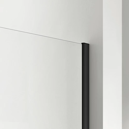 Душевая перегородка Aquatek Walk in с держателем профиль черный стекло прозрачное AQ WIW 12020BL 120х200 см