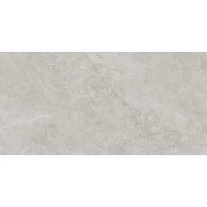 Керамогранит Laparet Pluto Silver светло-серый матовый SG50005220R 119,5х60 см