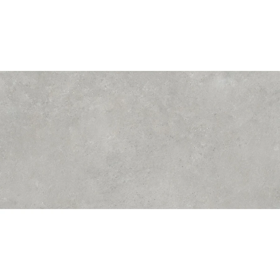 Керамогранит Neodom Loft Urban Grey Matt матовый серый N110009 120х60 см