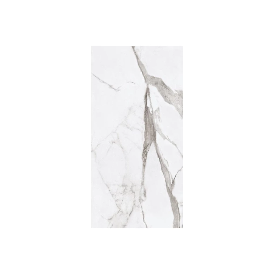 Керамогранит Ariana Ceramica Epoque White Statuario lap PF60004974 120х60 см