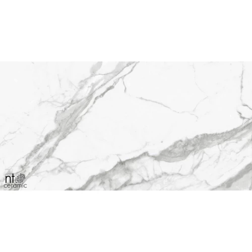 Керамогранит NT Ceramic Bright and Shiny NTT9100 Полированный BB612NTT9100P 120х60 см