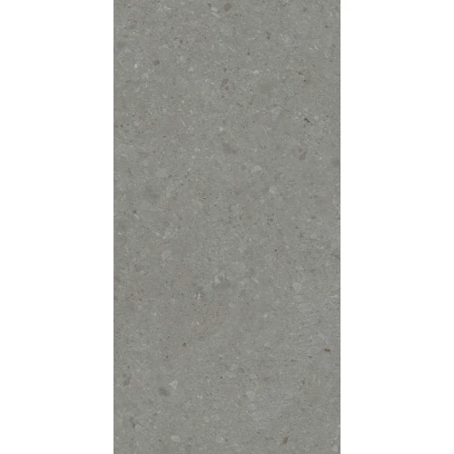 Керамогранит Kerama Marazzi Чеппо ди Гре серый темный матовый обрезной DD507920R 119,5х60х0,9 см