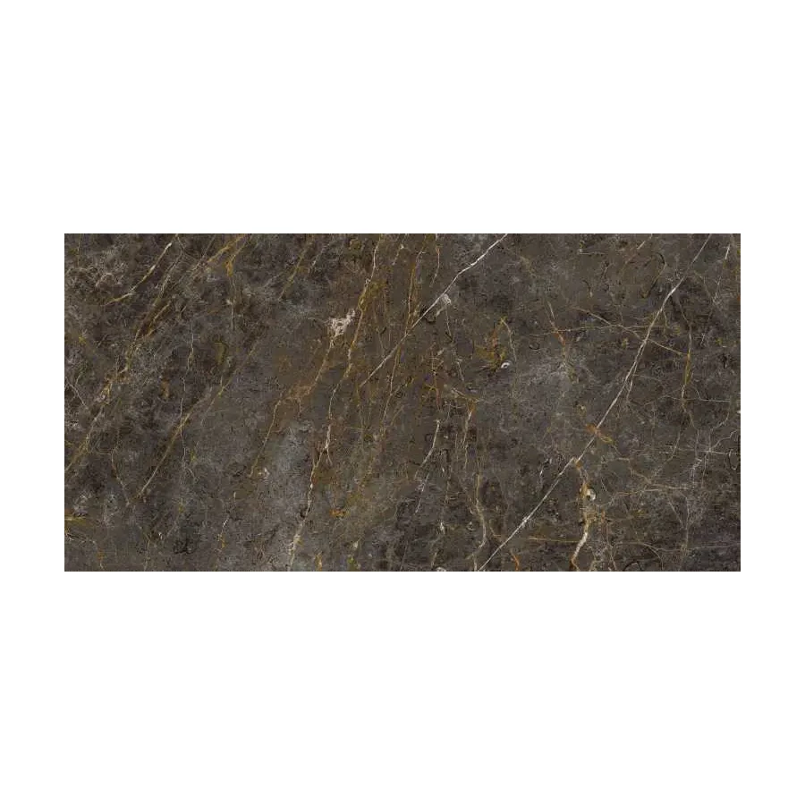 Керамогранит Lafaenza Aesthetica AE GOL6 12 LP глянцевый коричневый 120х60 см