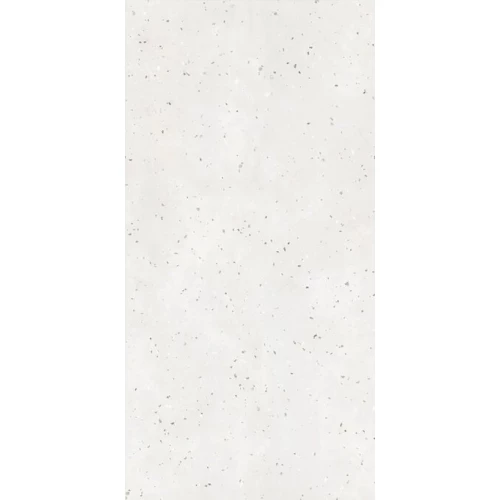 Керамогранит ProGRES Bianco Terrazzo матовый белый PRO 0273M 120х60 см