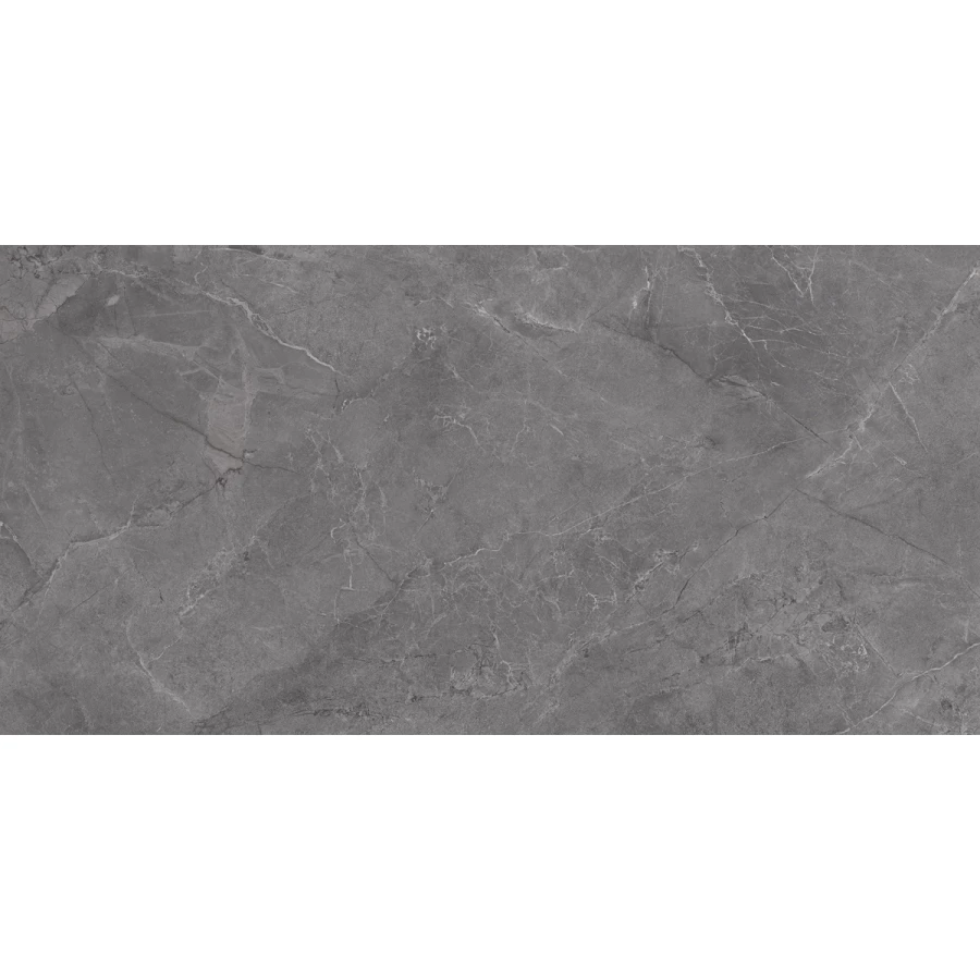 Плитка настенная Laparet Aston серый 00-00-5-18-01-06-4133 60х30 см