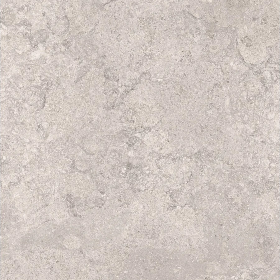 Керамогранит Estima Customer Product Development Silver Stone CPD40 серый 72752 60х60 см