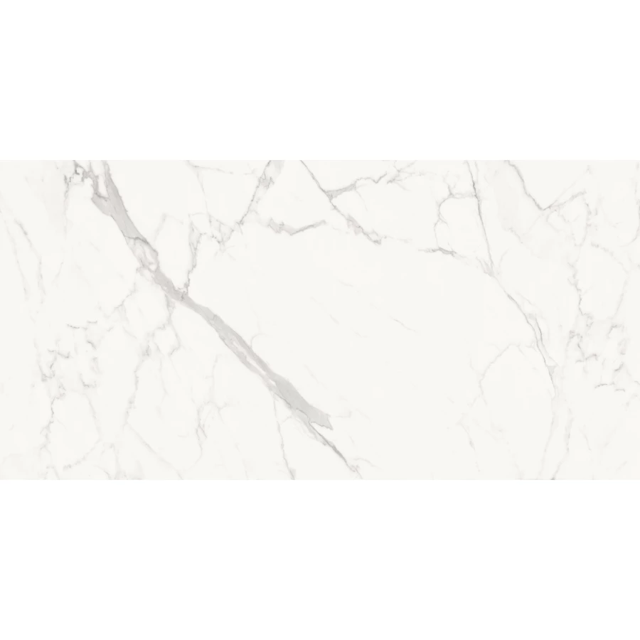 Керамогранит Delacora Porfido Carrara матовый белый 60120PFC15M 120х60 см