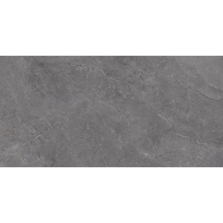 Плитка настенная Laparet Aston серый 00-00-5-18-01-06-4133 60х30 см