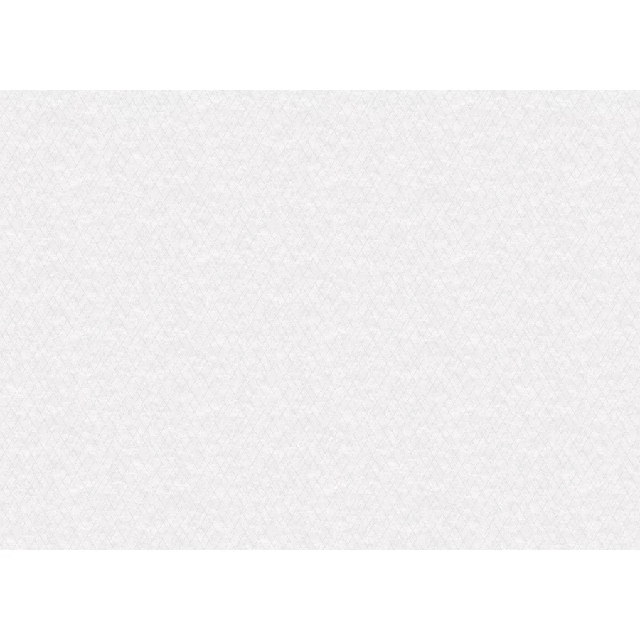 Обои флизелиновые Grandeco Gloria Avanti белые R159125 1,06х10,05 м