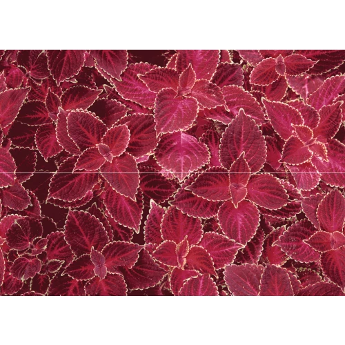 Панно Keros Ceramica Alegre Blood из 2-х плиток 50х70х1.1 см