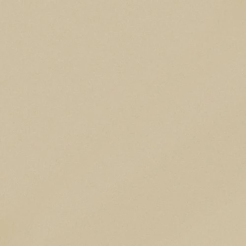 Керамогранит Керамика Будущего Моно CF 100 аворио мат. MR 60х60 см