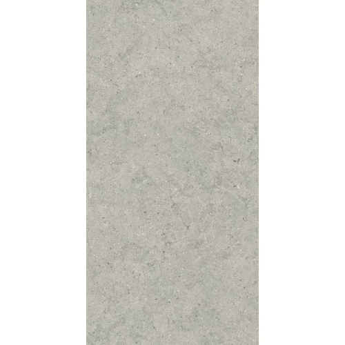Керамогранит Italon Форум Стоун Сильвер матовый серый 610010004168 120х60 см