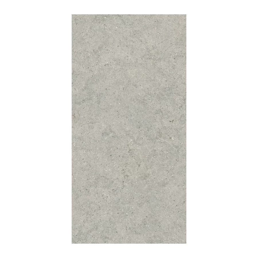 Керамогранит Italon Форум Стоун Сильвер матовый серый 610010004168 120х60 см