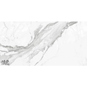 Керамогранит NT Ceramic Bright and Shiny NTT9100 Полированный BB612NTT9100P 120х60 см