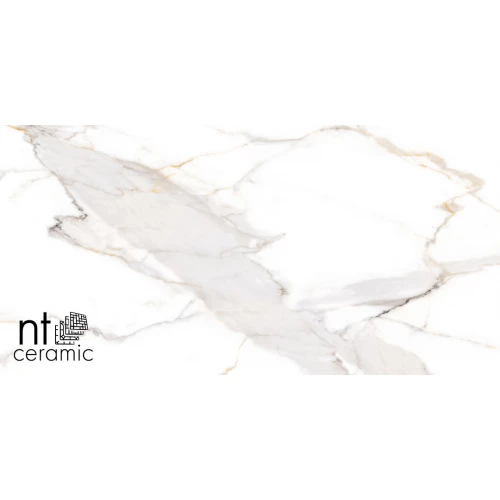 Керамогранит NT Ceramic Bright and Shiny Calacatta Light Grey Полированный NTT9121P 120х60 см