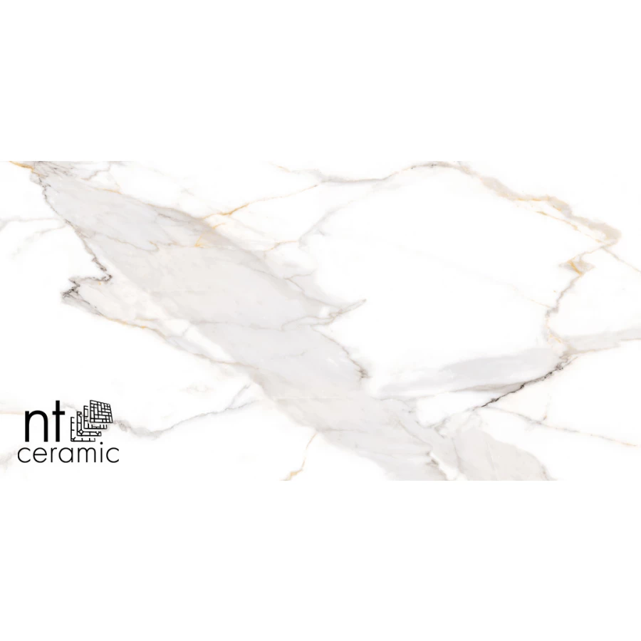 Керамогранит NT Ceramic Bright and Shiny Calacatta Light Grey Полированный NTT9121P 120х60 см