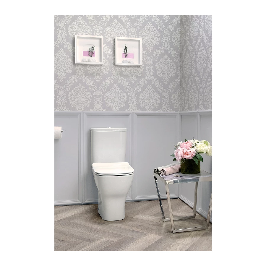 Унитаз напольный чаша Jacob Delafon Struktura безободковый UJAJ102-WTE