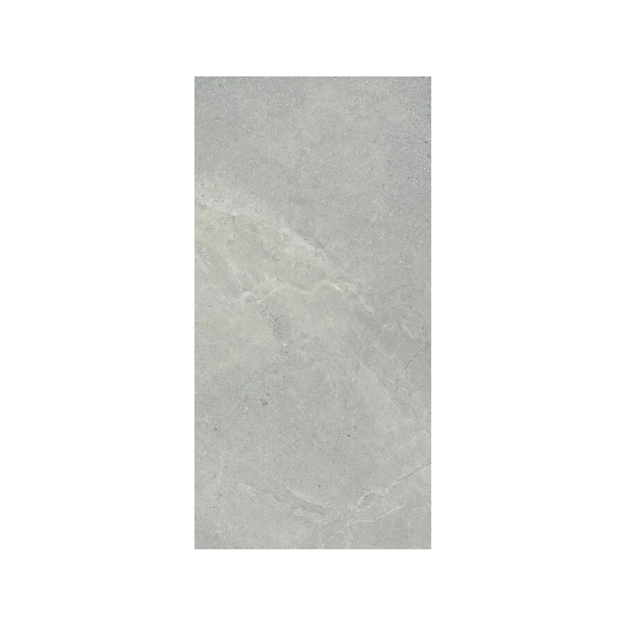 Керамогранит ProGRES Simfony матовый серый PRO 0243M 120х60 см