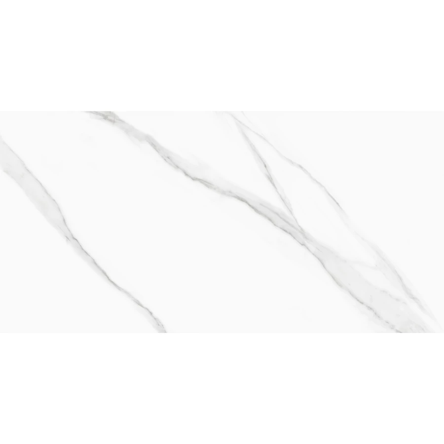 Керамогранит Delacora Life Calacatta матовый белый D120239M 120х60 см
