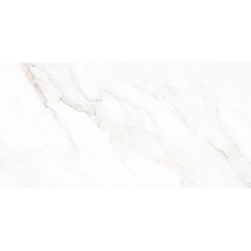Керамогранит Neodom Classic Marble Calacatta Polished глянцевый белый N40059 120х60 см