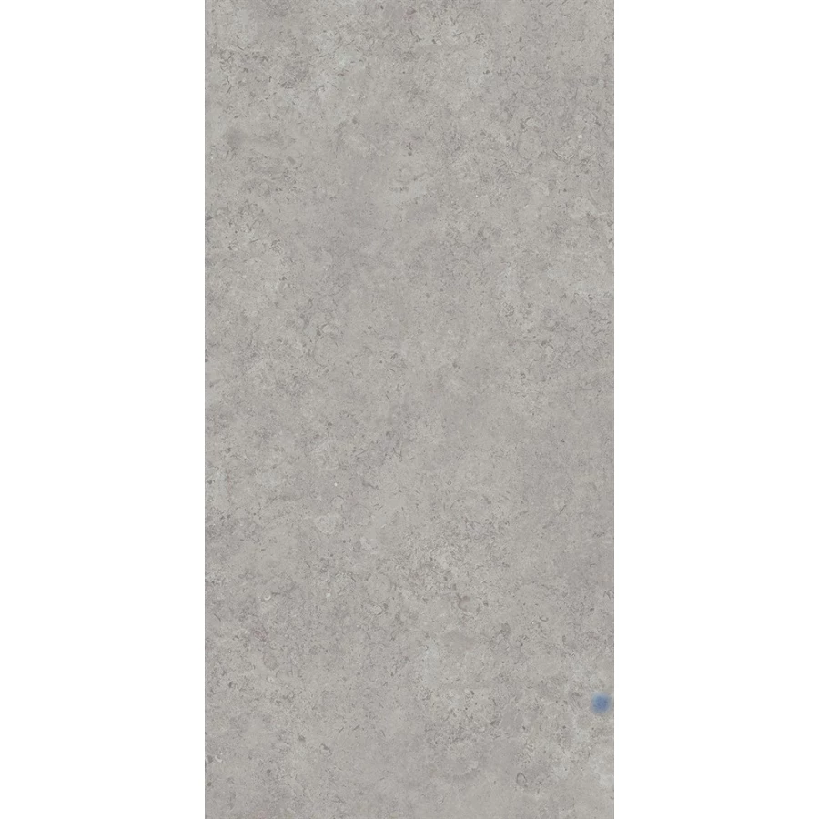 Керамогранит Kerama Marazzi Про Лаймстоун АТ обрезной натуральный серый DD590620R 238,5x119,5 см