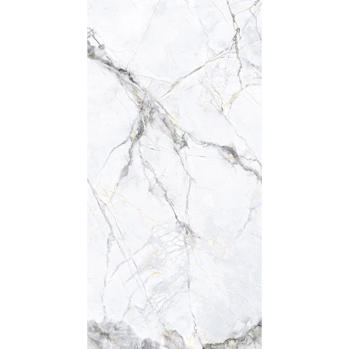 Керамогранит Arcadia Ceramica Malta Bianco Carving бело-серый CR4018-A 120х60 см