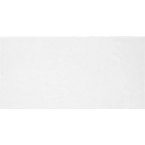 Плитка облицовочная ALMA Ceramica Monocolor TWU09MNR020 24.9х50 см