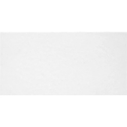 Плитка облицовочная ALMA Ceramica Monocolor TWU09MNR020 24.9х50 см