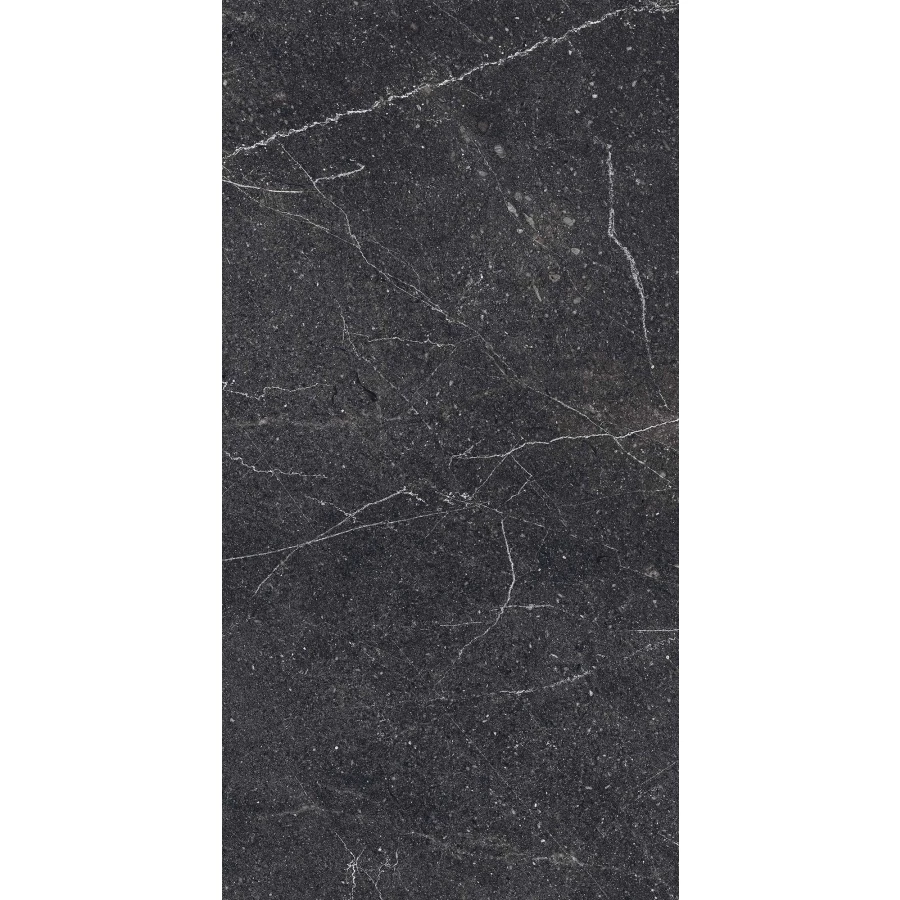 Керамогранит Arcadia Ceramica Equistone Charcoal матовый чёрный RG6003-A 120х60 см