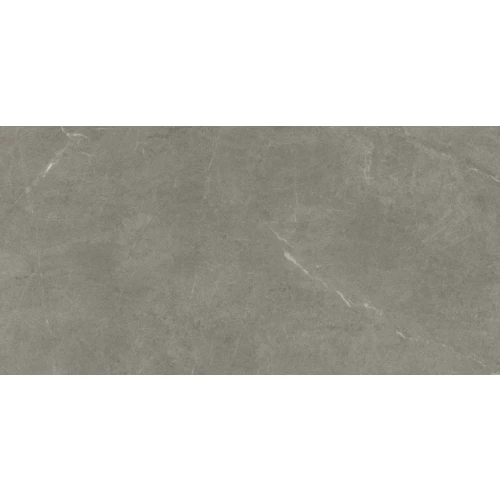 Керамогранит Living Ceramics Vonn Greige Soft матовый серый LV10982 120х60 см