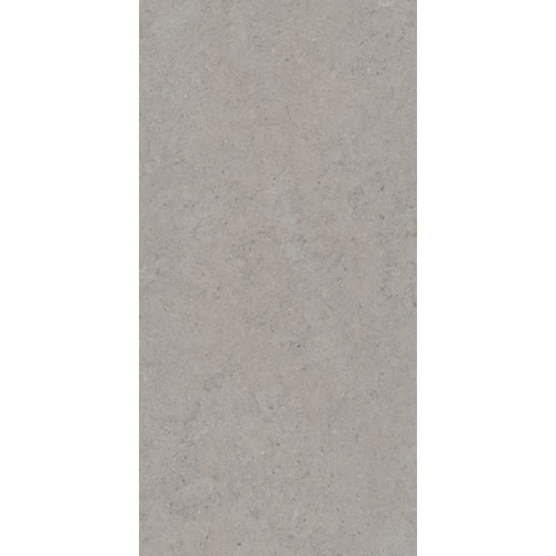 Керамогранит TAU Ceramica Calcare Silver матовый серый 120х60 см